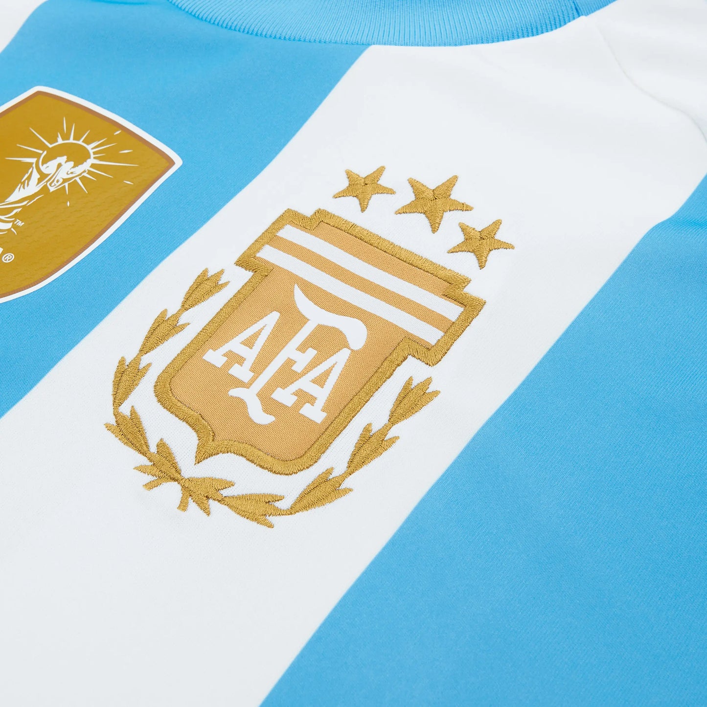 Argentina Home Jersey Half Sleeves